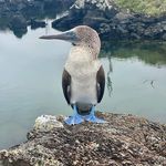 Candice Gray Malone - @candicegraymalone - Instagram