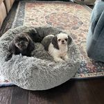 Candice Gregory Cunningham - @candicercunningham - Instagram
