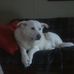 Candace Griswold - Facebook