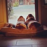 Candace Guthrie McGinnis - @abcmcginnis - Instagram