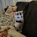 Candice Haas Prud'hon - Facebook