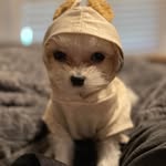 Candice Hagan Gibbs - @southernbelle.45 - Instagram