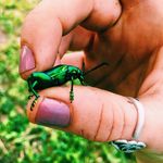 Candice Horn - @ecozest_petrichor - Instagram