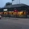 candice levy - @candice.levy8 - TikTok