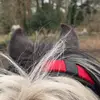 ❤️𝓍𝓍.𝒸𝒶𝓃𝒹𝒾𝒸ℯ.19.𝓍𝓍❤️ - @xx.candice.main.19.xx - TikTok