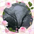 Candis Matlock - Facebook