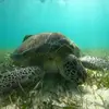 candice campfield - @candice.mayhew7 - TikTok