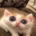 Candace McKenzie - Facebook