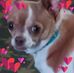 Candice Morgan - Facebook