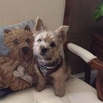 Candice Pearson - @wuffwufftx - Instagram