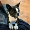 Candice Powers - @candice.powers - TikTok