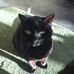 Candace Ruth - Facebook