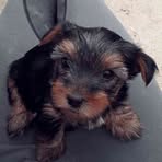 Candice Schilling - Facebook