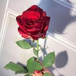Candice Serna - Facebook