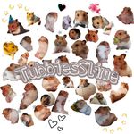 Candice & Silver & Yu Lin 🌼 - @tubbiesslime - Instagram