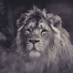 Candice Steenkamp - @steenkamp.candice - Instagram