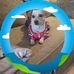 Candy Suh - Facebook