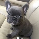 Candice Trahan - @daydream1352 - Instagram