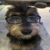 ur_fav_candice<3 - @candice.walter - TikTok