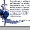 Senseless Khandi - @candicewesley - TikTok