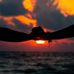 Candice Rodey - Facebook