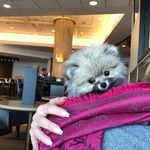 Candice Wilhelmine - @wilhelmine.candice - Instagram