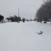buttholes - @candicewitcher - TikTok