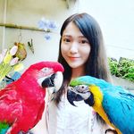 Candy Wu - @candice_wu_creations - Instagram