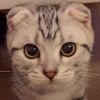 Candice Yang - @2153597536 - TikTok