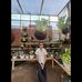 Putu Candra - Facebook