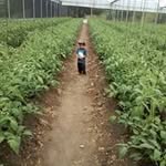 Candido Perez - @candido.perez.56808 - Instagram