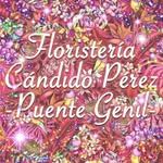 Cándido Pérez - @floristeria.candido - Instagram