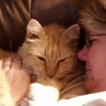 Candis Smith - @candis.smith.50 - Instagram