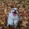 candise_white - @candise_white - TikTok