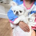 みき - @candiswhite2019 - Instagram
