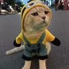 Candra Brown - @2149878992 - TikTok