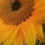 Candy Anderson - @peakscandy - Instagram