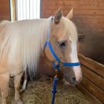 candy anderson - @candy.anderson.7796420 - Instagram