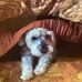 Candy Anderson - Facebook