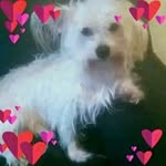 Candy Anderson - @candyanderson509 - Instagram