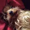 Candy Anderson - @candy.anderson78 - TikTok
