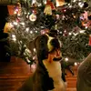 Daisy9420 - @candy_anderson - TikTok
