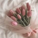 Candy Austin - @candyaustin2 - Instagram