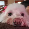 Candy Barrera - @user79770266 - TikTok