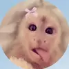 Candyy - @_candybelll - TikTok