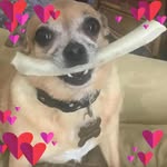 Candy Benson - @grandyb59 - Instagram