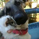 Candy y Beyoncé - @candy.beyonce - Instagram