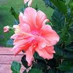 Candy Brock - Facebook
