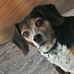 Candy Brock - @bumpndanite - Instagram