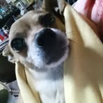 Candy Brock - Facebook